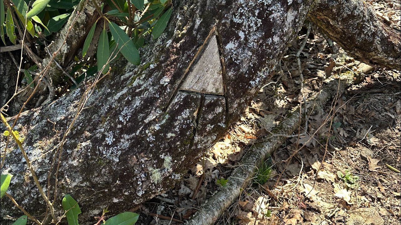 A.T. Mile Markers 85–98 Deep Gap, NC, to Mooney Gap