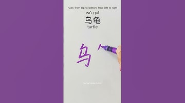 how to write turtle 乌龟 in Chinese  #chinesewriting #hanzitutorial #learnchinese #writechinese #hsk