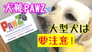 『ポウズPAWZ』ラバードッグブーツ犬靴【大型犬は要注意！】良い口コミが多いけど、かなりキツくて蒸れます。ラブラドールレトリバーどん LABRADOR RETRIEVER DON