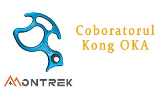 Review coborator Kong OKA