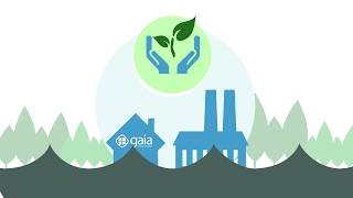 Gaia Es Pasión Por Un Planeta Sostenible