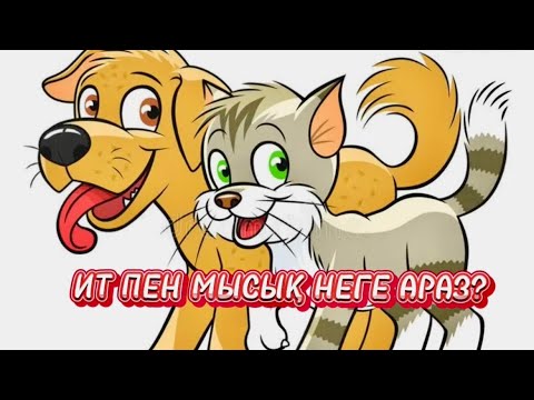 Әзірбайжандағы әзірбайжандық секс Кроссрестинг қыздар