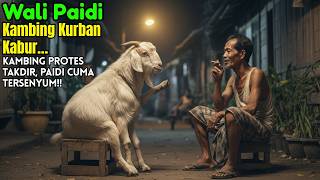 Kambing Ini Kabur Lalu Nego Takdir Dengan Wali Paidi Endingnya Tak Terduga