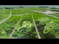 Japanese rice field art