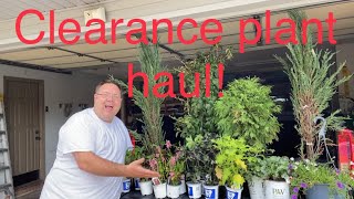 Plant haul and replanting 2 containers by Horticulture Geek 453 views 9 months ago 19 minutes