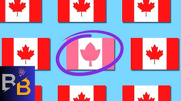 Spot the different flag - Learn country flags - Visual attention for kids 🤔 #quiz #entertainment