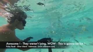 Download Lagu Free Diving - Pulau Perak in Pulau Seribu (Silver Island, thousand islands) Indonesia MP3