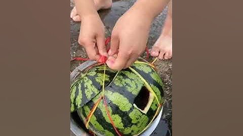 Catching Seafood Video Compilation | Amazing Fishing (Catch Fishes, Crabs, Lobsters..) | Video #190