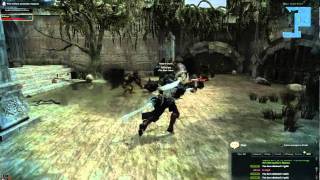 Vindictus potion drinking glitch