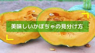 【EDISONmama】うまみそのままフレーク かぼちゃ ～美味しさのひみつ/美味しいかぼちゃの見分け方 編～