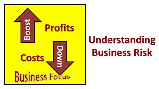 Understanding Business Risk