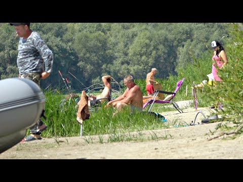РЫБА ПОШЛА И ТОЛПА ПРИШЛА! НА САМЫЕ ПРОСТЫЕ СНАСТИ КЛЮТ ЧЕХОНЬ, ЛЕЩ, КАРАСЬ, ГУСТЕРА, СОПА! Рыбалка