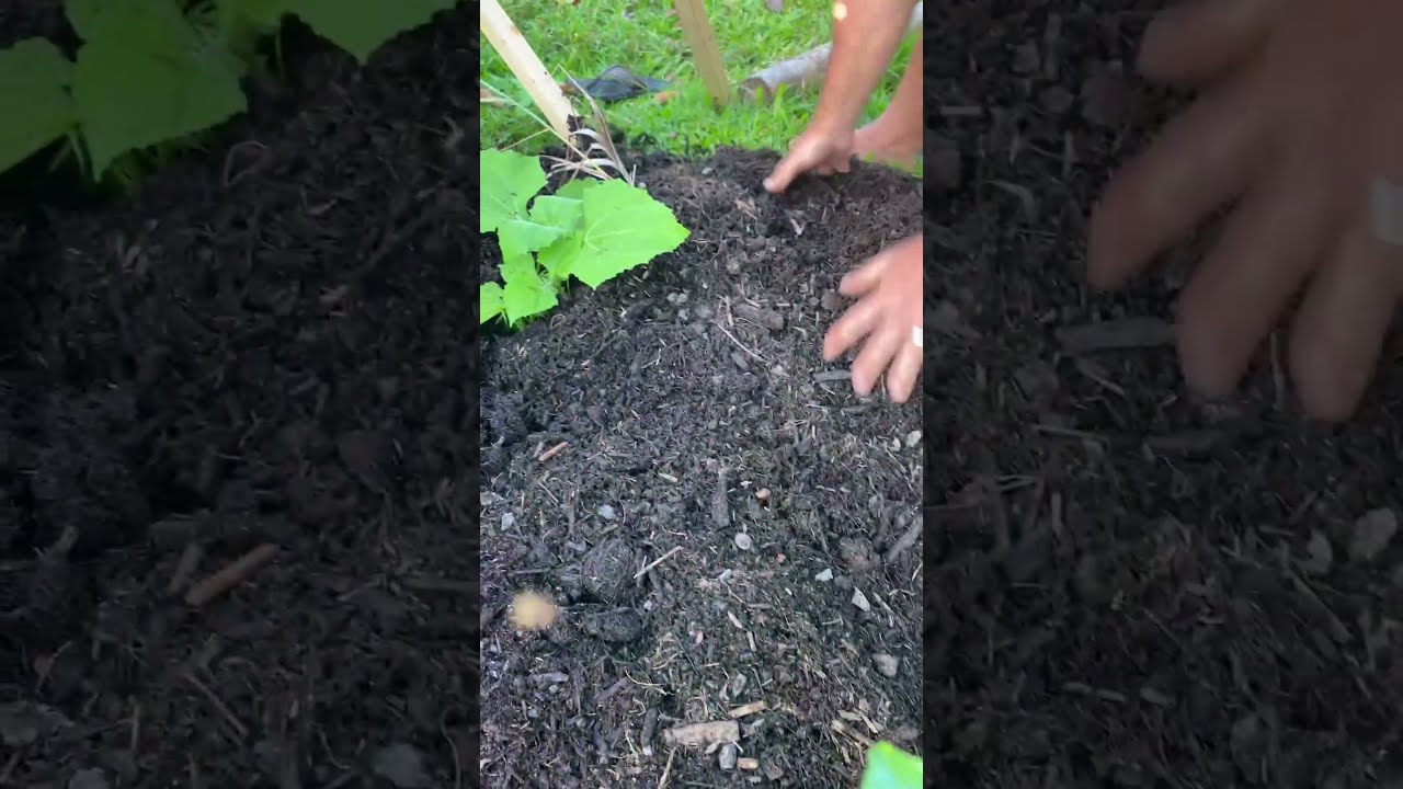 Got Weeds Try This 