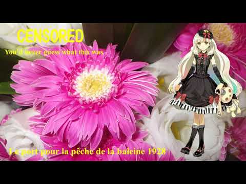 【Mayu】出船の港 1928；The port for the whale fishing 1928【Vocaloid 5】マユ
