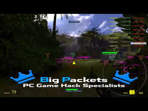https://bigpackets.com Gmod Hack - Zombie NPC Aimbot - Big Packets Undetected Free