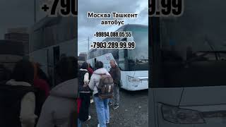 #москва #ташкент #автобус #рекомендации #шортс #россия #узбекистан #шошилинч #янгиликлар #travel