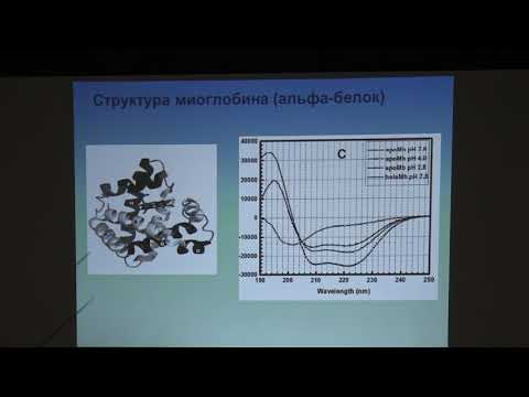 Видео: Какие белки-носители помогают облегчить диффузию?