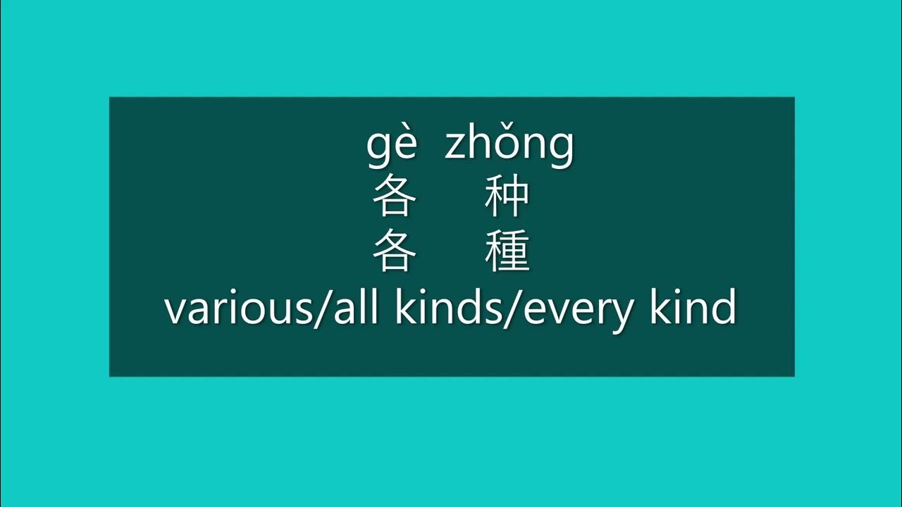 How to Say VARIOUS, ALL KINDS in Chinese How to Pronounce VARIOUS in