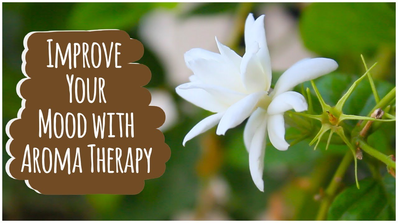 Improve your Mood with Aromatherapy 3 plants to Reduce Stress