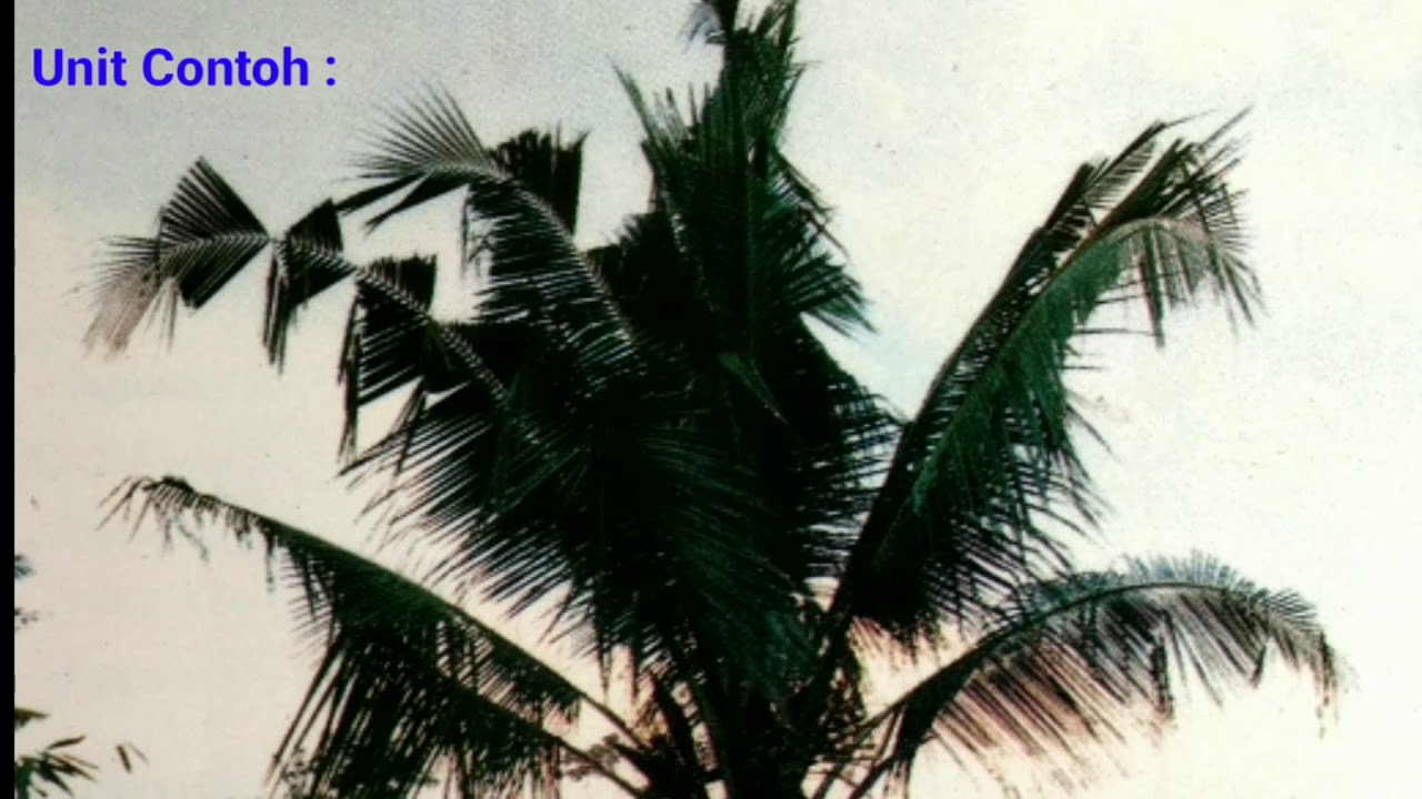 Pengamatan OPT Perkebunan (Bagian 1. Batasan, Asumsi dan Pengertian ...