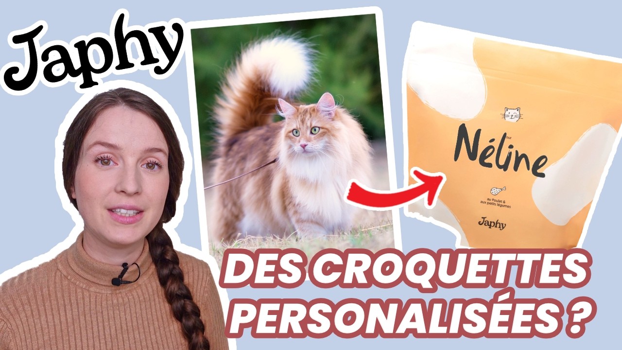 Décryptage Marketing | Japhy : Des croquettes personnalisées ?