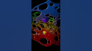 Droplets Collide  #animation #art #cinema4d #fluidsim #3danimation #fluidsimulation #realflow