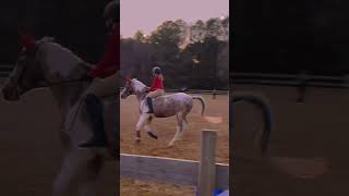 Cantering bareback! Credits to @Tesslaalalalal
