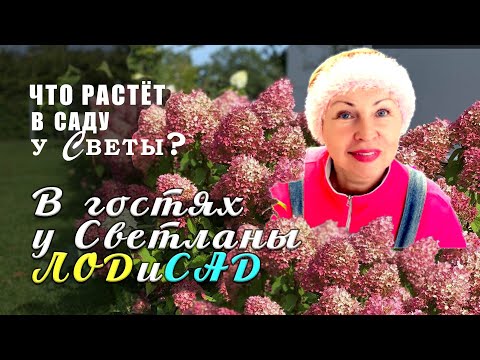 В гостях у Светланы ЛОДиCАД. Что растёт в саду у Светы? В гостях у Светланы ЛОДиCАД. Что растёт в саду у Светы?