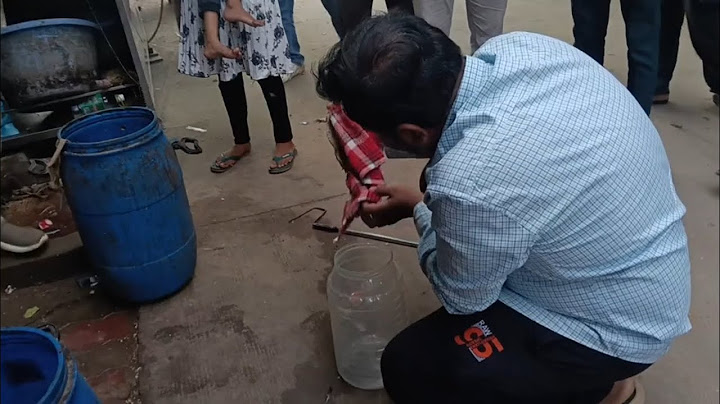 Monitor Lizard rescue in Indian fast food shop, Uma arcade, Dhaniyana chokdi, PALANPUR #reptile