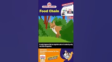 Food Chain | Do you know?