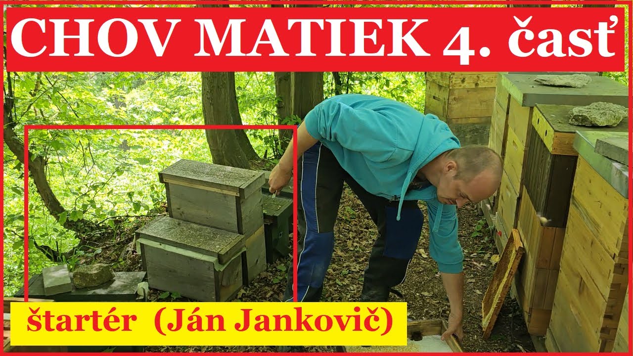 Chov matiek 4.časť: štartér