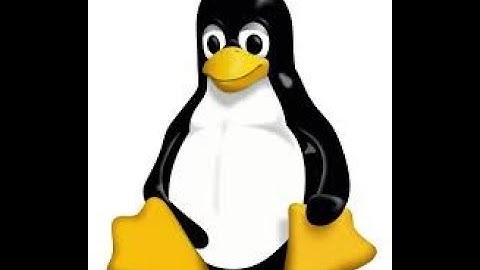 Linux Commands Part 2 / Easy Linux for Begineers ( Urdu / Hindi )
