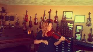 Sarah The Fiddler - Mary, Did You Know?