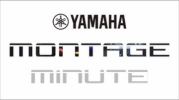 MONTAGE minute | OS v2.0 | Part 1