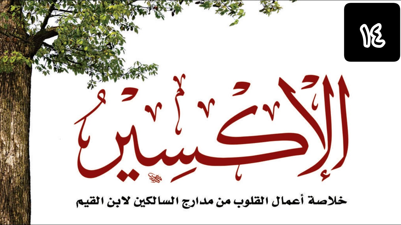 Les Actions du Coeur 14