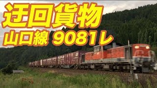 力強く峠を登る迂回貨物列車(DD51-1802/9081レ)
