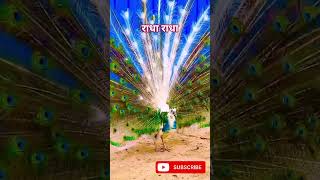#मोहे मोर बनइयो राधा अपने वृंदावन को🦚 #Radha song#trending#bhajan#yt #shortv#viral #shortsfeed #new