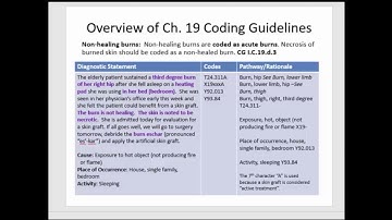 Ch.19 Guidelines/Examples (ICD-10-CM) Burns and Corrosions; Coding Handbook Ch. 30 (Ch. 31 earlier).
