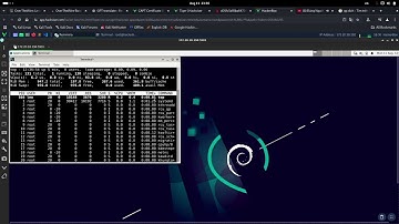 Hackviser : Tiger Lap