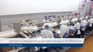 Case study: Cod Fillet Processing at Morrisons