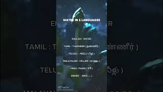 Saying "Water" in 5 languages 🌊✨ #languages#tamil #telugu #malayalam #hindi #arabic