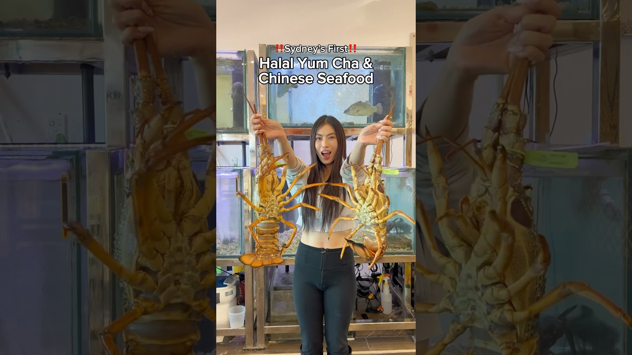 Australia’s first halal yum cha and Chinese seafood restaurant 🦞 