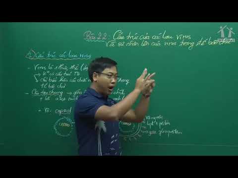 Cấu trúc của các loại Virut và sự nhân lên của Virut trong TB chủ - Thầy Đinh Đức Hiền - Học Tốt 10