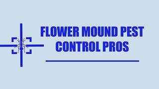 Flower Mound Pest Control Pros- Bed Bug Exterminator Services in Flower Mound TX