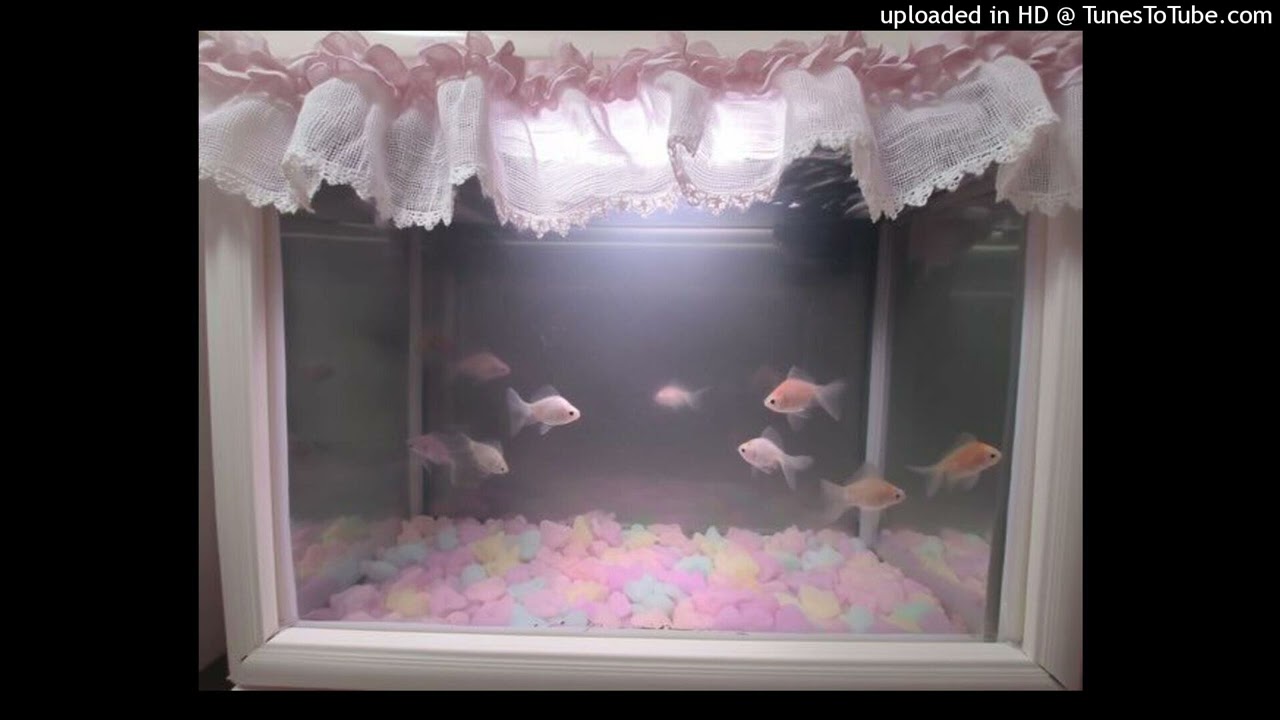 [FREE] che prettifun ginseng misogi type beat - 