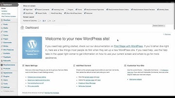 Managing WordPress screen options