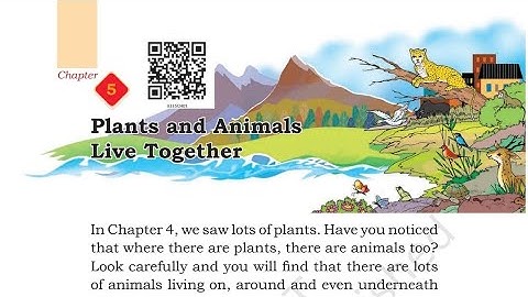 Plants and Animals Live Together|Class 3|EVS|CHAPTER 5|NEW BOOK|NCERT|FULL CHAPTER EXPLANATION