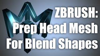 Preparing Head Mesh for Blend Shapes