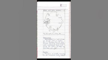 Class 10/Science Chapter3-Life Cycle of Honey Bee/#notes #chapter1 #science #class10th