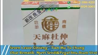 Seven Leave Ginseng - Tian Ma Tu Chung Obat Rematik